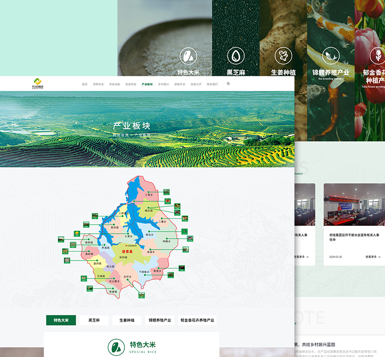 江西宇清信息技术有限公司项目案例：进贤农经集团官网